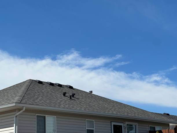 Reliable Arden Arcade, CA Roofing Services Solutions